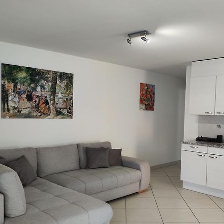 로카르노 Casa Renoir - Schritte Zum Zee 아파트 외부 사진