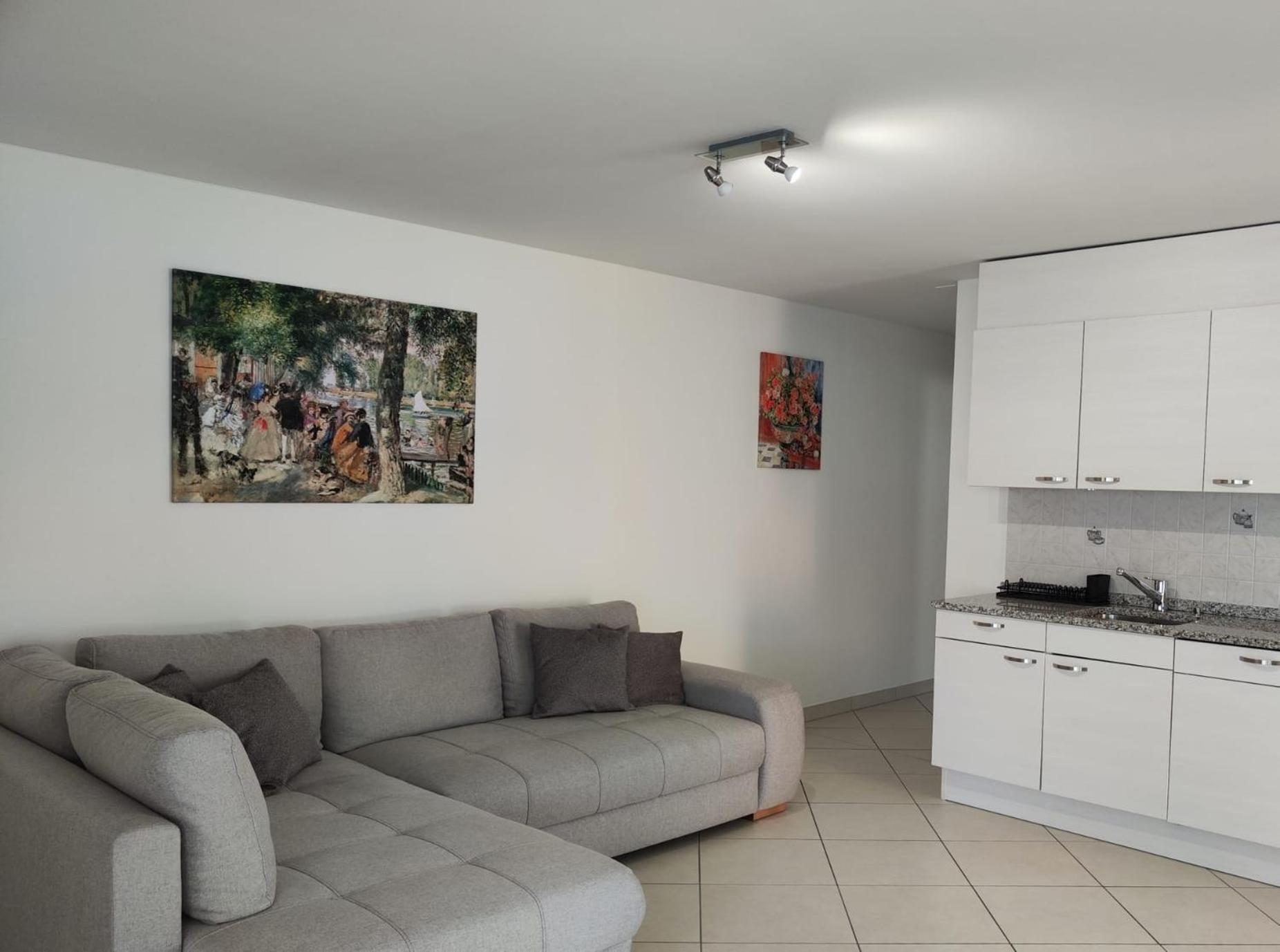 로카르노 Casa Renoir - Schritte Zum Zee 아파트 외부 사진